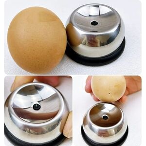 Stainless Steel Egg Piercer